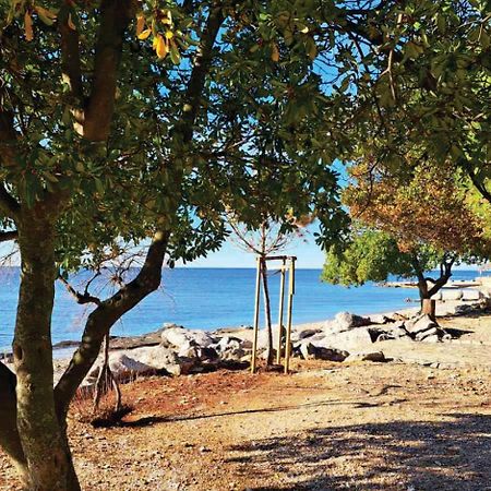 Apartment Istria Замбратия Экстерьер фото